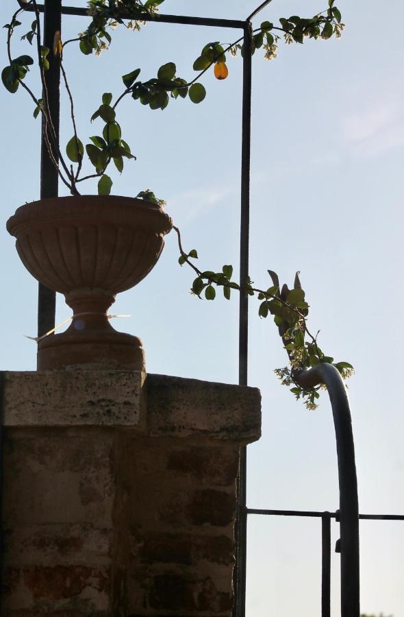 Sant'andrea Siena